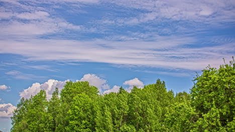 timelapse shot of fast moving white puffy clouds moving over blue sky over green trees forest throughout the day