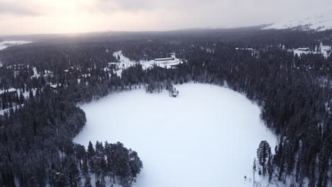 aerial view large frozen lake and conifer tree forest in winter snow