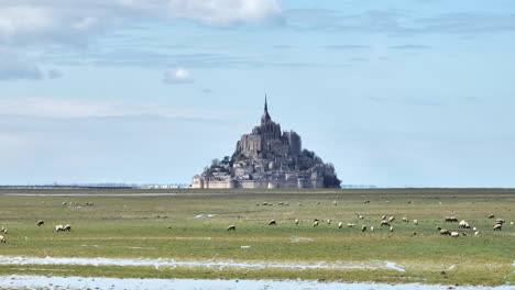 aerial view of mont saint-michel, where medieval history meets coastal allure.