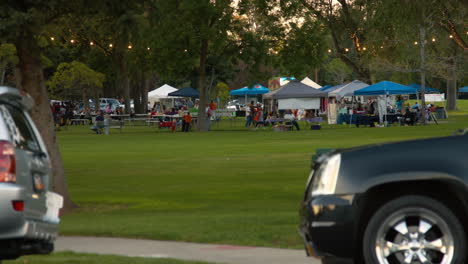 evening outdoor market in a park
