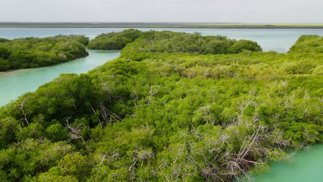 Vista-Aérea-De-Una-Parte-De-La-Reserva-De-La-Biosfera-De-Sian-Ka&#39;an,-Quintana-Roo