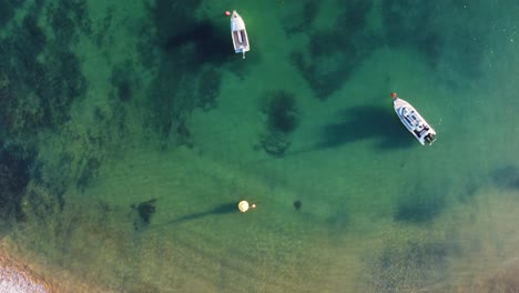 Drone-aerial-shot-of-crystal-clear-water-sand-reef-and-boats-docked-in-The-Haven-Terrigal-Beach-tourism-Central-Coast-NSW-Australia-3840x2160-4K