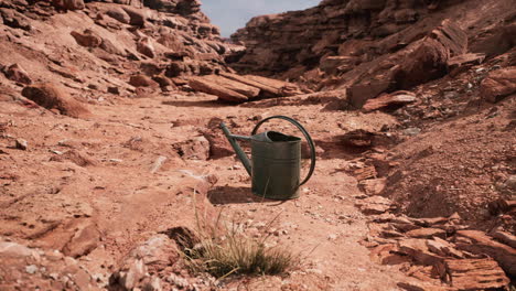 beverage can in sand and rocks desert