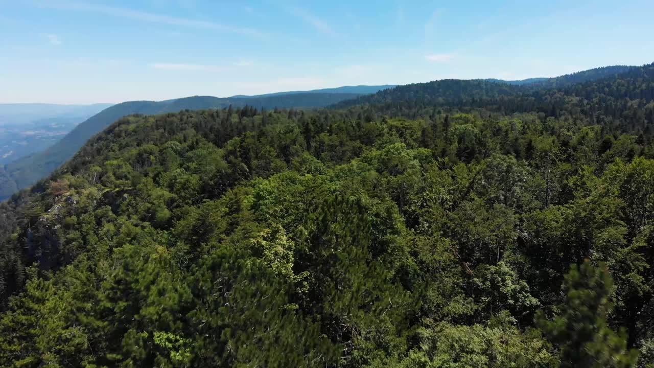 drone volando sobre el impresionante bosque de la montaña tara en serbia