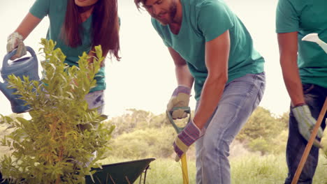 En-Formato-De-Alta-Calidad-Amigos-Felices-Jardinería-Para-La-Comunidad-