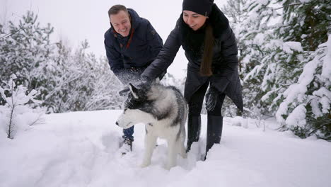 family portrait of cute happy couple hugging with their alaskan malamute dog licking man's face. funny puppy wearing santa christmas deer antlers and kissing woman. freedom lifestyle pet lovers.