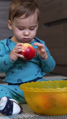 lovely toddler sits on the floor with a yellow bowl in front of him. cute kid takes an apple from a dish, looks at it carefully and turns it in his hands. vertical video