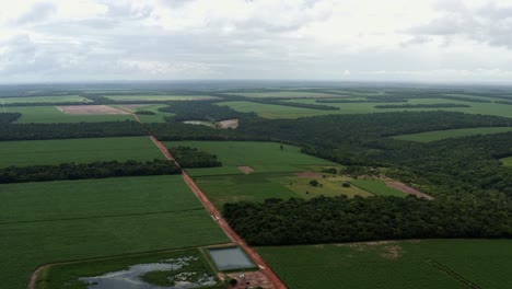 Right-trucking-Aerial-drone-shot-of-a-long-red-sand-dirt-road-surrounded-by-fields-of-farmland-growing-tropical-green-sugar-cane-in-Tibau-do-Sul,-Rio-Grande-do-Norte,-Brazil-on-an-overcast-day