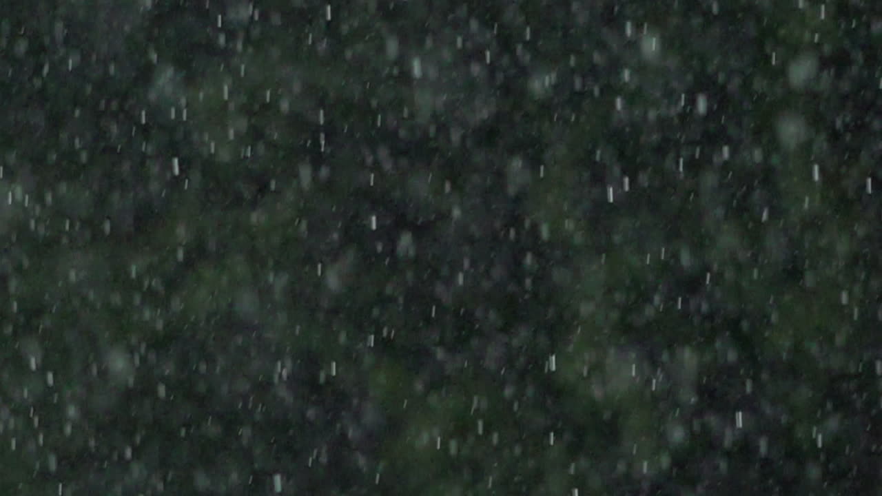 Torrential rain falls past trees in a park in slow motion shot at 1000 frames per second