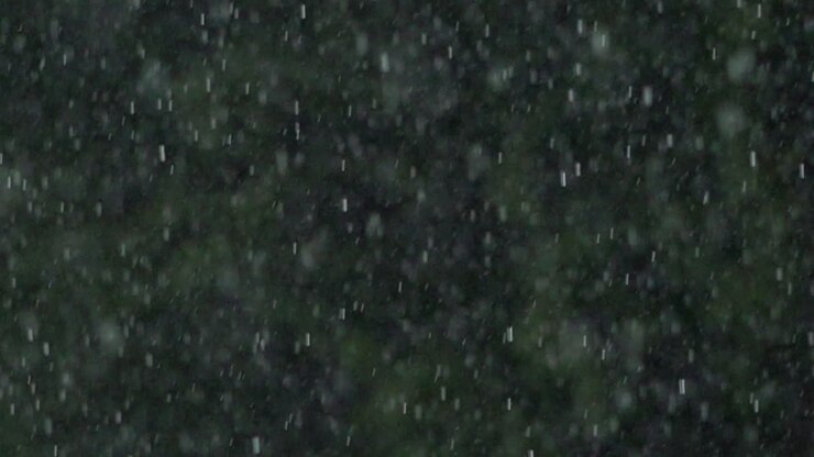 Lluvia torrencial cae junto a los árboles en un parque en toma de cámara lenta a 1000 fotogramas por segundo