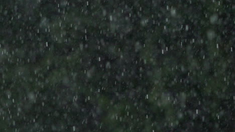 torrential rain falls past trees in a park in slow motion shot at 1000 frames per second