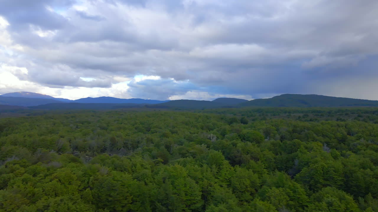 Aerial slider view of dense green tree tops with tall mountains in the background