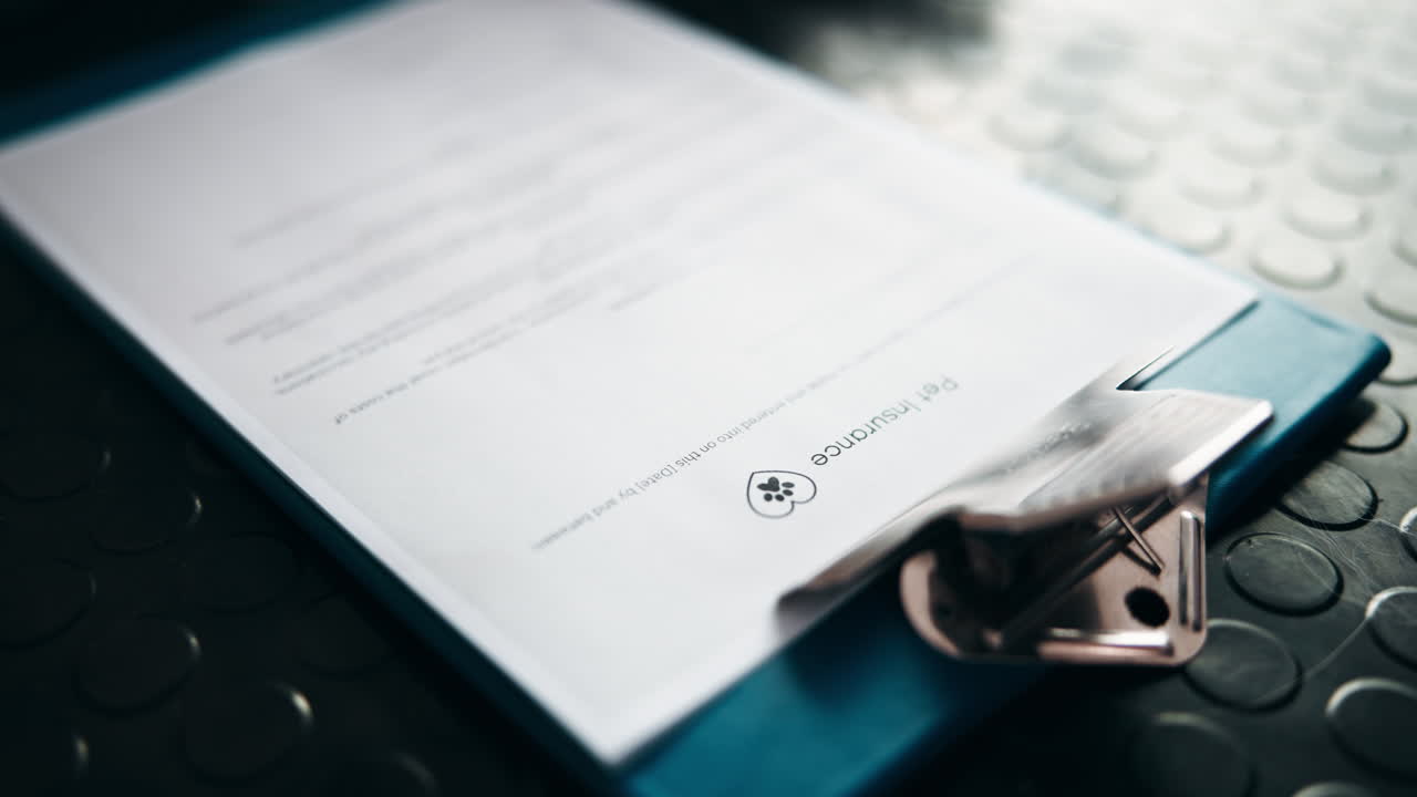 Pet Insurance Document