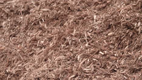 woodchip and mulch close up shot