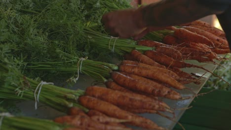 Granjero-Ata-Paquetes-De-Zanahorias-Recién-Recogidas