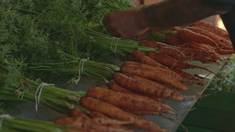 farmer ties up bundles of freshly picked carrots