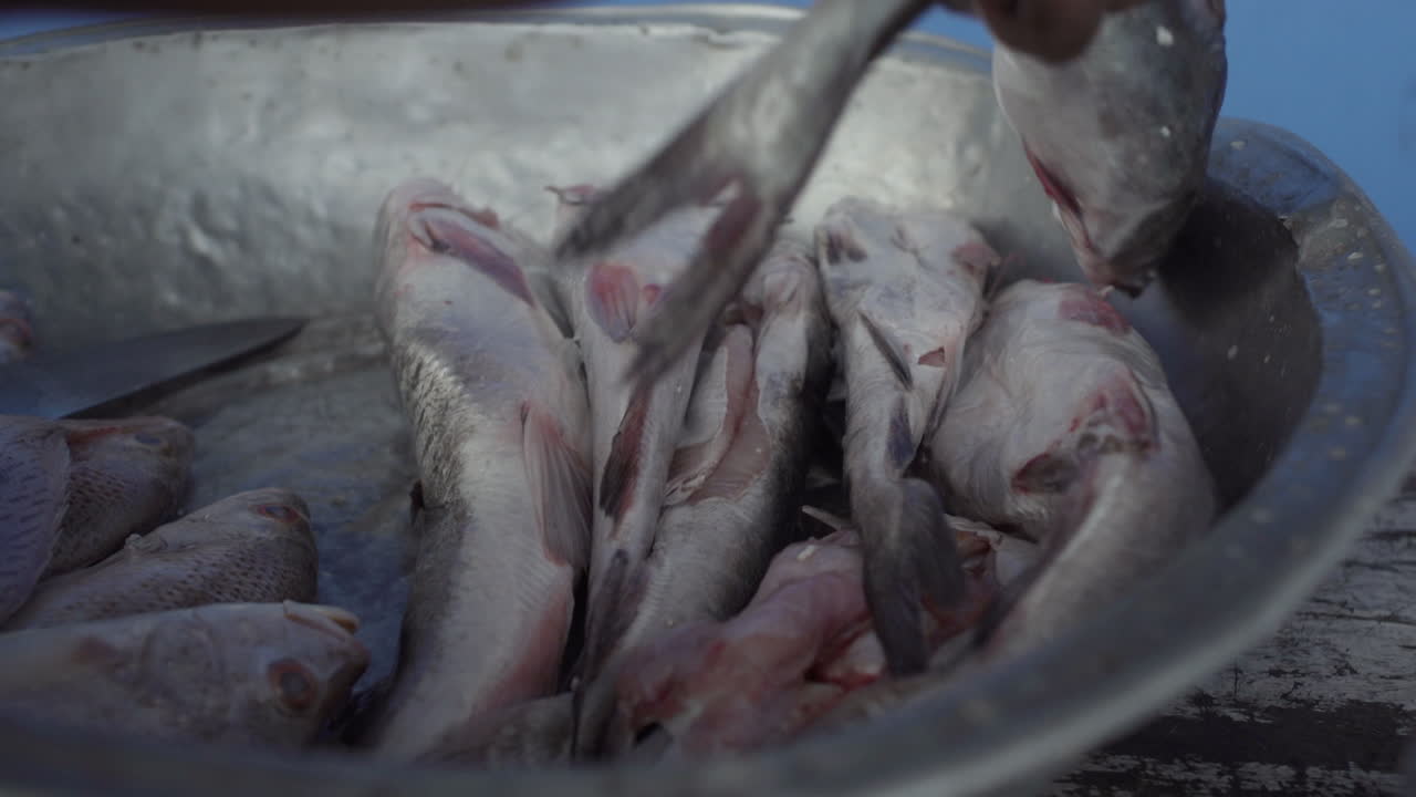 Närbild på händer som hanterar fisk på en gatufiskmarknad i Buenaventura.