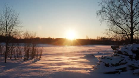 going toward bright winter sun over forest, illuminate snowy backyard and field