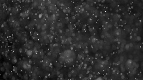 superposición de partículas de nieve en un fondo súper negro