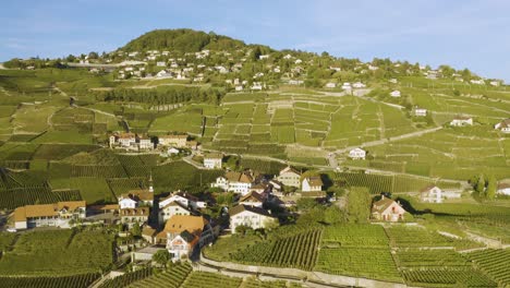 órbita aérea y cierre en aran village en viñedos de lavaux - suiza