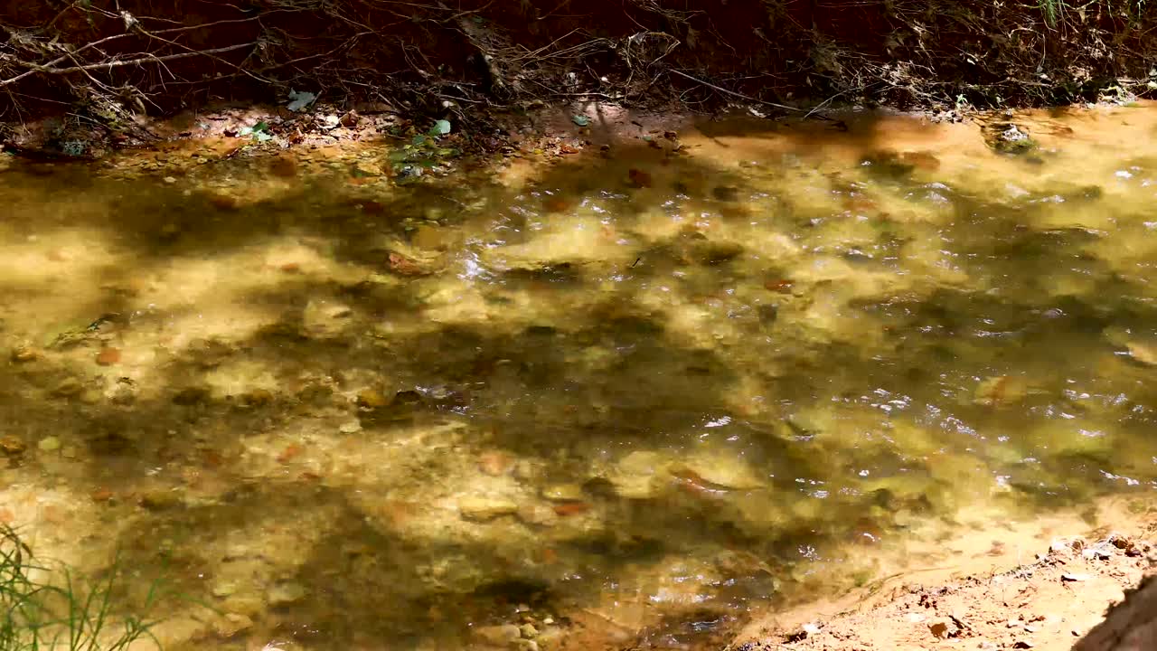 Static video of Timber Creek in Palo Duro Canyon State Park, Texas