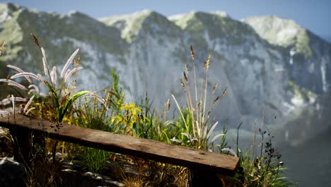 fresh grass at big rocky cliff in ocean