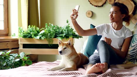 emotional mixed race girl is talking on mobile phone making video call smiling and chatting looking at screen with obedient pedigree dog lying on bed beside her.