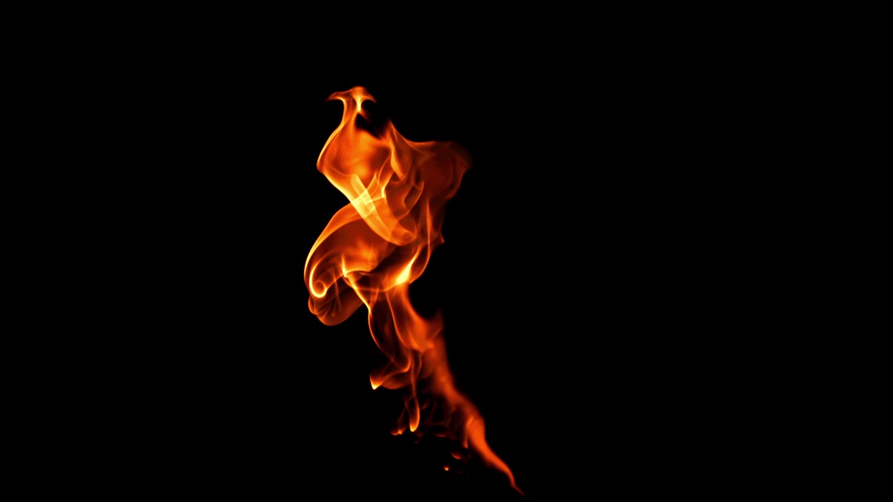 Isolated Fire Flames Burning on Black Background