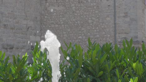 close up slowmotion of a small fountain in the center of riva del garda with some green plants and the wall of an old castle in the background