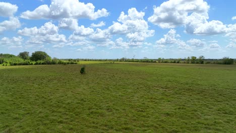 Üppige-Grüne-Landschaft-In-Arauca,-Kolumbien-Mit-Einer-Vorwärtsflugbewegung,-Klarer-Himmel