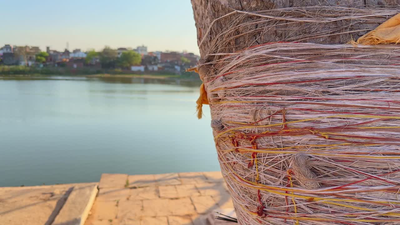 Hindus tie threads often red or yellow, around trees, especially banyan, peepal, and neem trees, as a symbolic act of devotion, seeking blessings