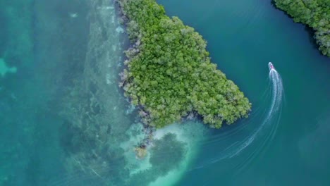 boat entering a mangrove lagoon through a tropical turquoise sea