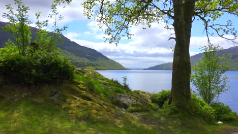 a pretty establishing shot of loch lomand scotland