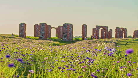 Timelapse-shot-of-tourists-going-around-Medieval-castle-ruins-in-timelapse-in-Latvia-at-daytime