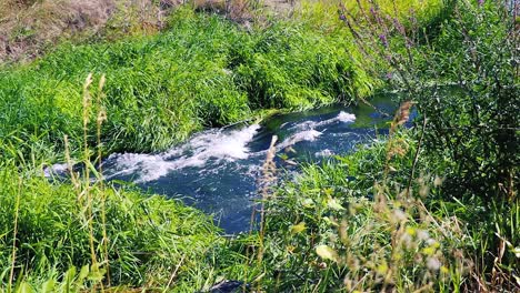 flowing creek on the boise idaho greenbelt through long green grass 20 second slow motion video
