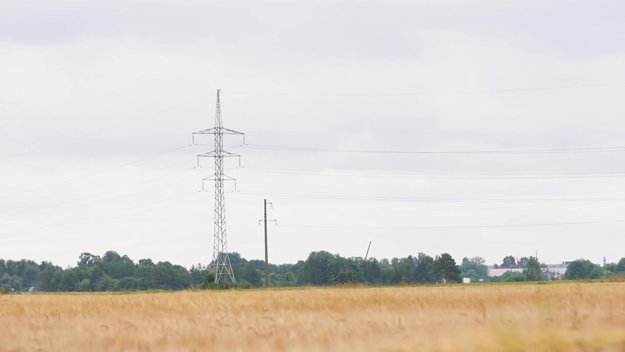 Wide shot of metal transmission towers and power lines stretching across a golden wheat field with a distant treeline, filmed in soft natural daylight with overcast clouds and steady camera framing.