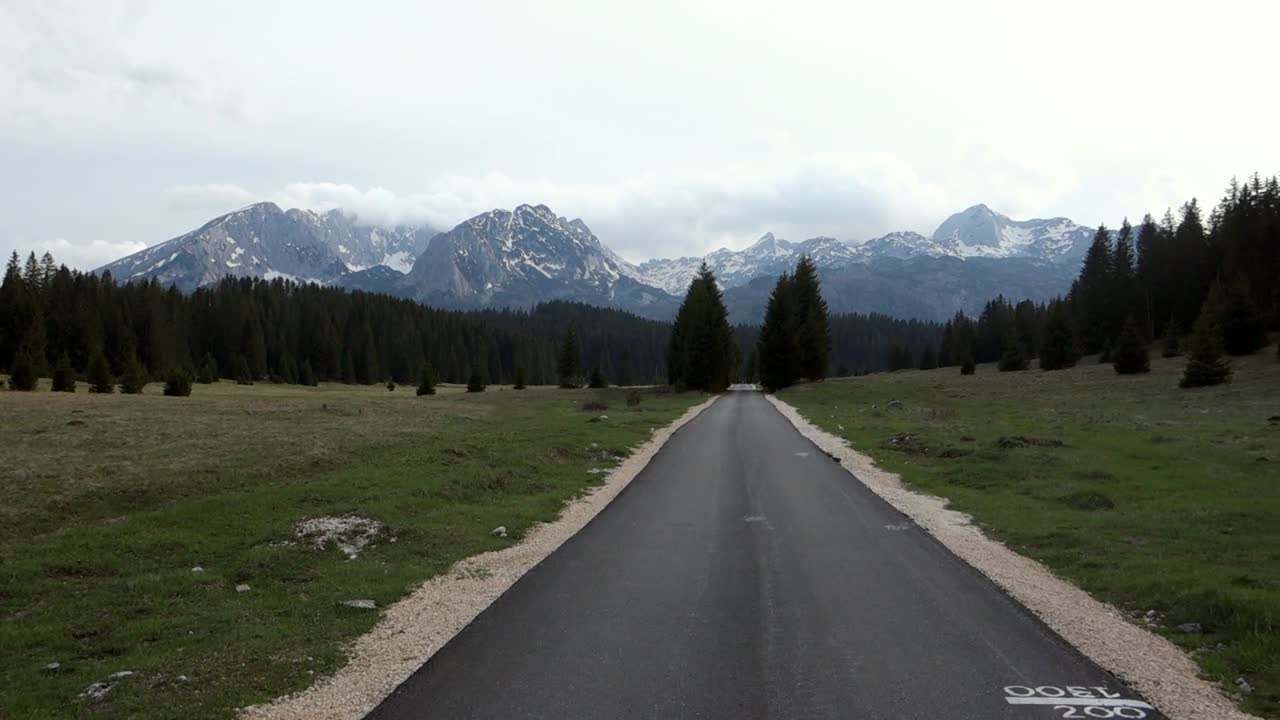 country road crosses pine forest in Durmitor National Park, Zabljak, Montenegro. Durmitor Mountain range as backdrop