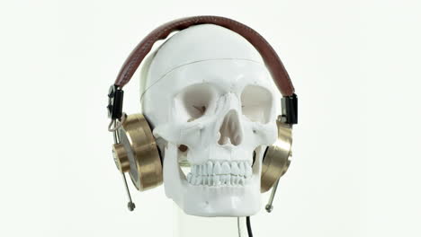 cráneo con auriculares de oro