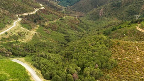 Spectacular-drone-view-over-a-green-valley-in-New-Zealand