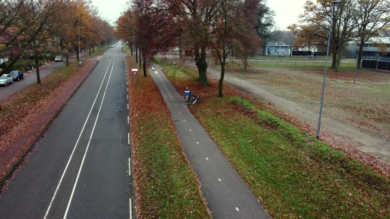 Autumn Road with Trees and Pathway
