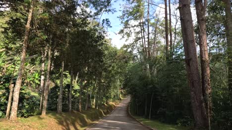 traveling down a winding road surrounded by trees