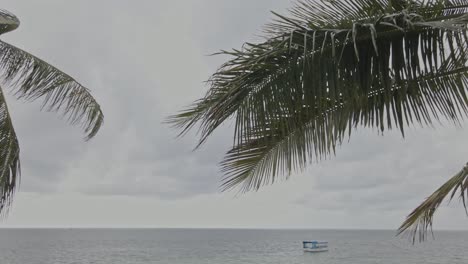 Flying-between-two-palm-trees-towards-the-ocean-on-a-cloudy-day