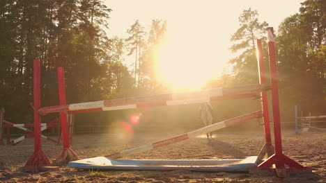 the horsewomen is engaged in show jumping and horseback riding. she demonstrates professional skills in the hurdle race with her horse in a horse club.