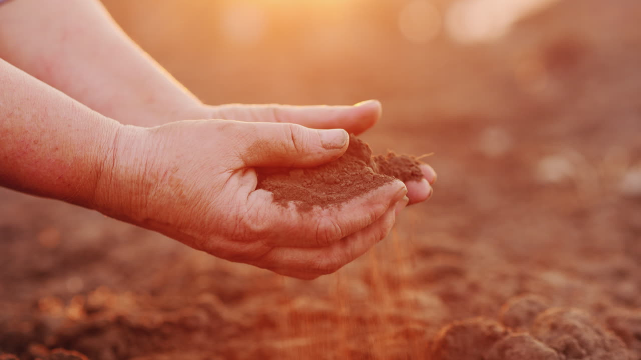 manos de agricultores con el concepto de agricultura orgánica de suelo negro