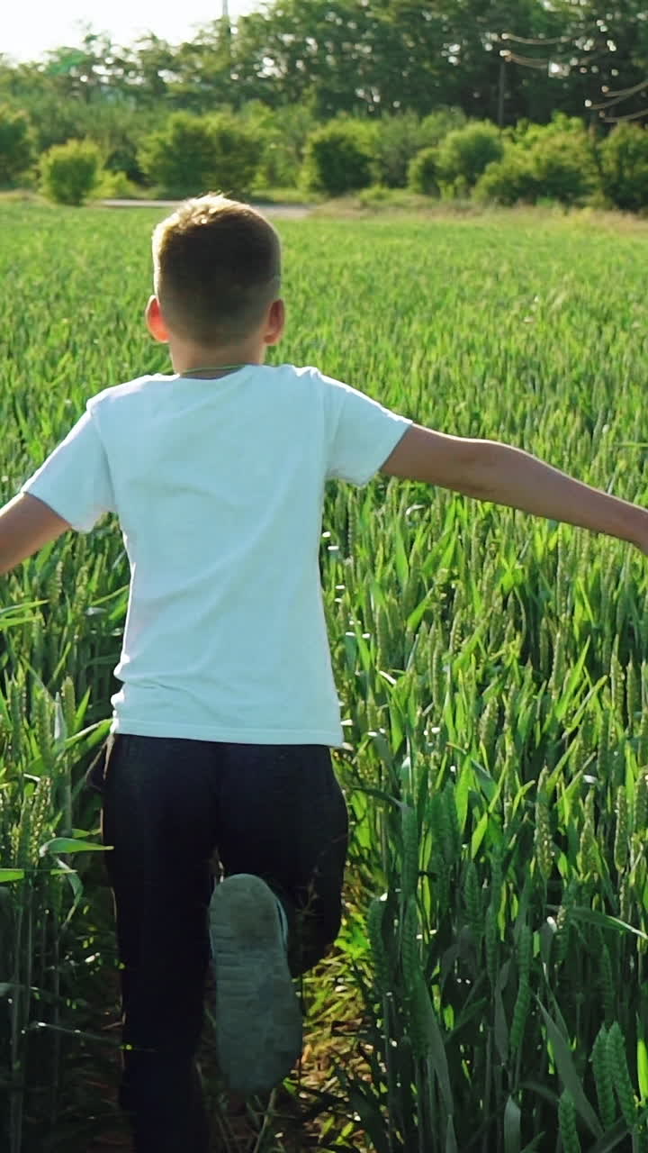boy with his back running across the field and touching the wheat in the summer. Slow motion. Vertical video