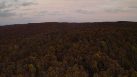 Autumn-foliage-natural-forest-background-texture-from-the-Ozarks-Arkansas