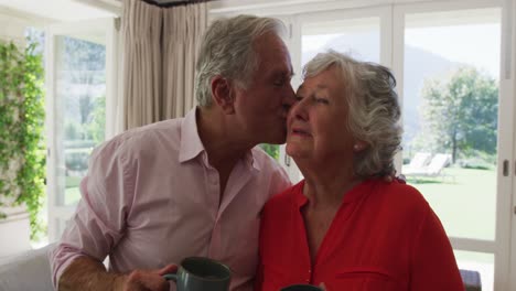 Portrait-of-happy-caucasian-senior-couple-kissing-in-sunny-living-room,-smiling-and-holding-cups