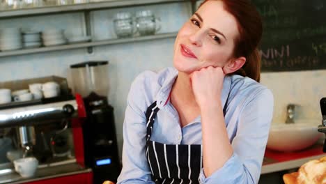 Portrait-of-smiling-waitress-standing-at-counter