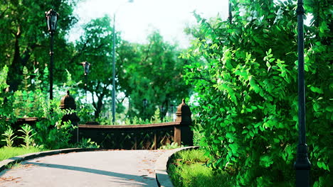 empty street at the nice and comfortable great garden