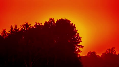 foto de teleobjetivo del sol amarillo en el cielo naranja detrás de los árboles